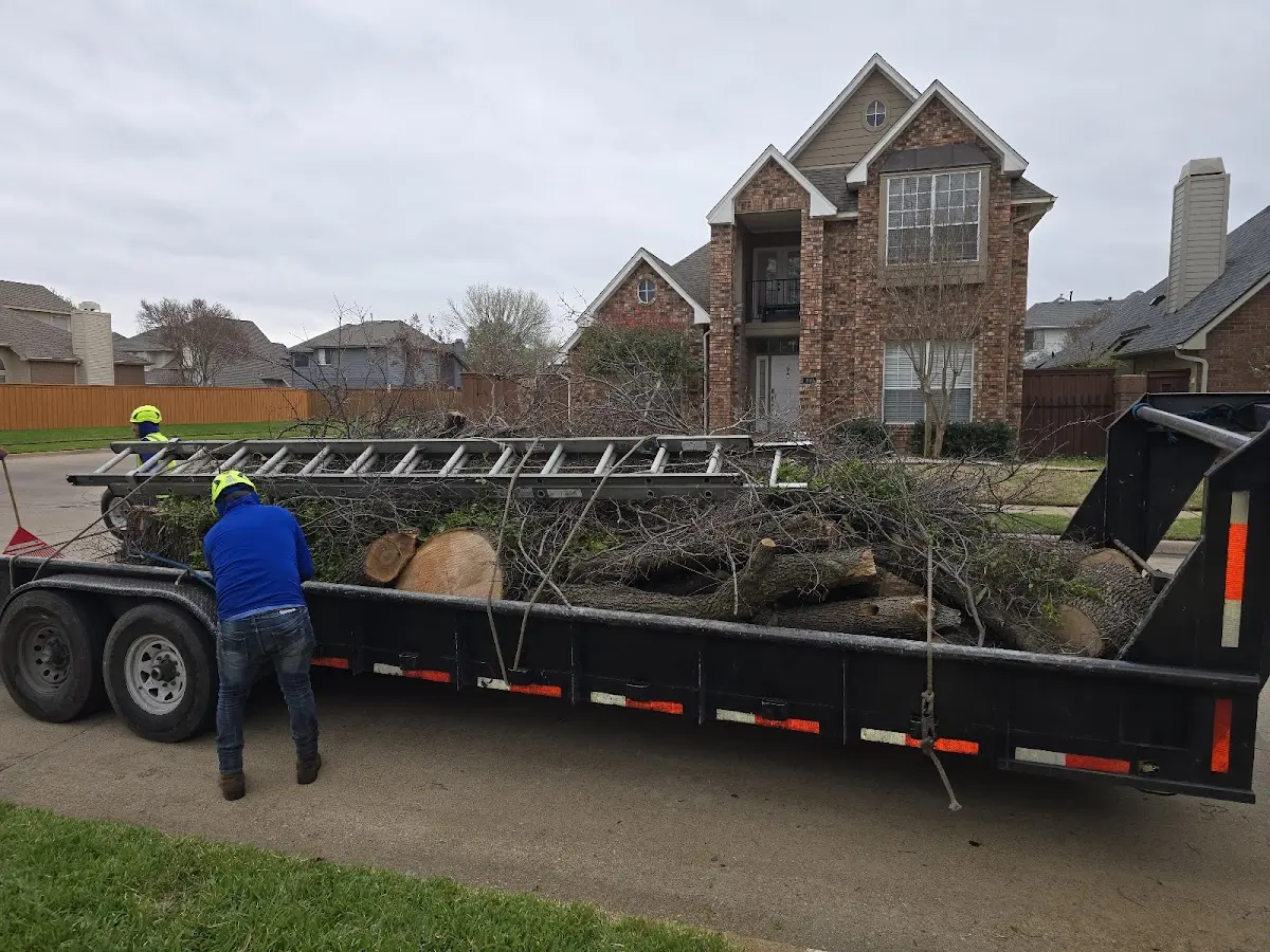 Expert Tree Fertilization with proper safety equipment in Cusick